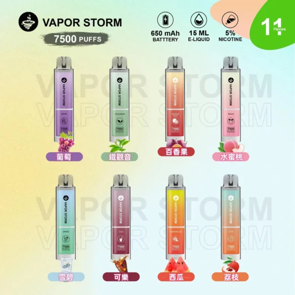 【VAPOR STORM 風暴辣妹 】大容量拋棄式7500口電子菸/可充電